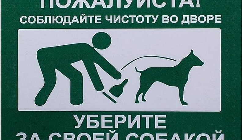 Калужане не убирают за своими питомцами