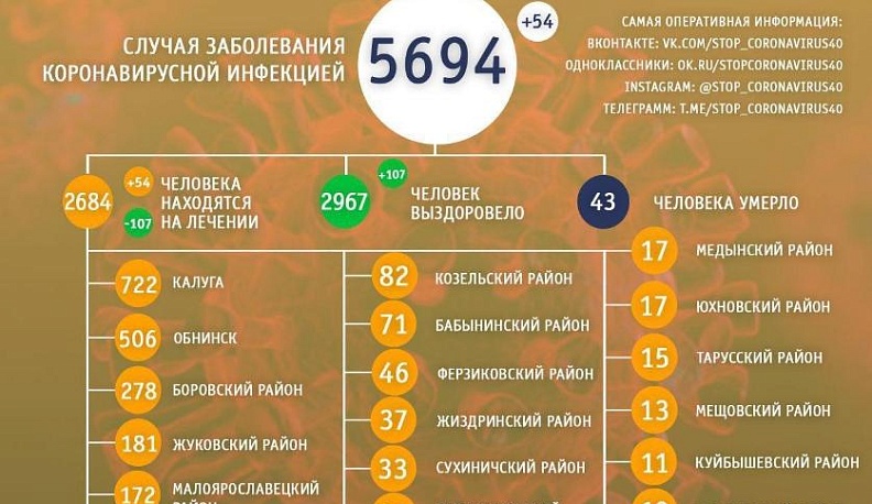 В Калужской области за сутки число выздоровевших от коронавируса вдвое превысило число заболевших
