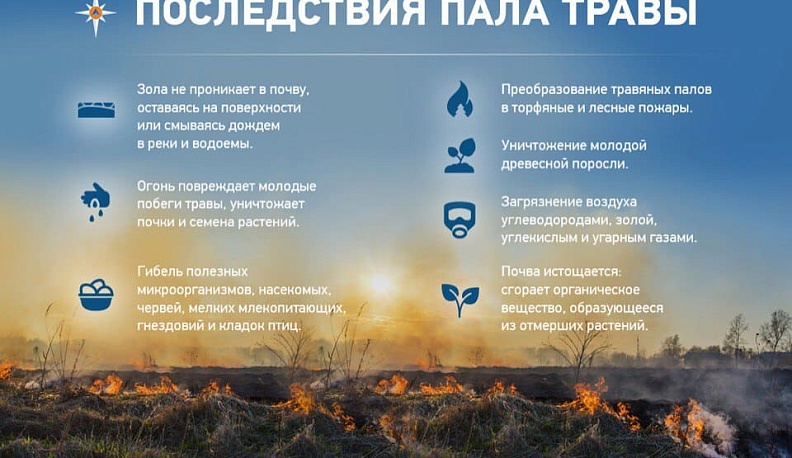 Калужская область в десятке регионов ЦФО с минимальными потерями от лесных пожаров