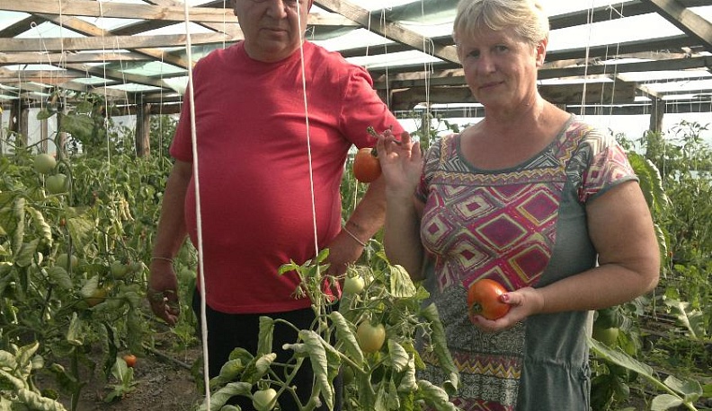 О зрелости плодов и людей