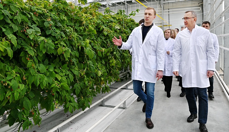 Стабильное развитие и новые возможности