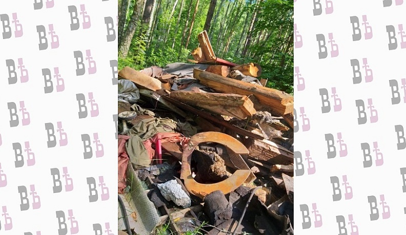 Калужская область перейдет на стопроцентную переработку отходов к 2030 году