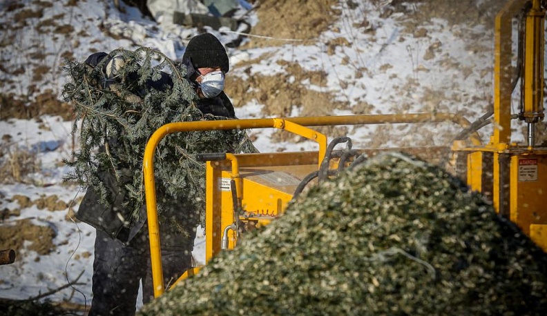 …каждой иголочкой радует нас
