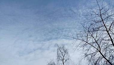 Семь вражеских БПЛА сбили над Калужской областью