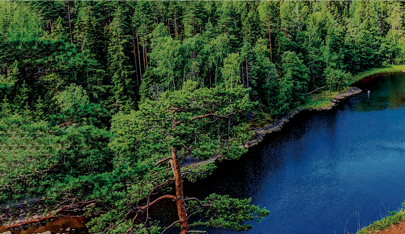 Исследование показало, что жители России хотят отдыхать на Кавказе и Дальнем Востоке