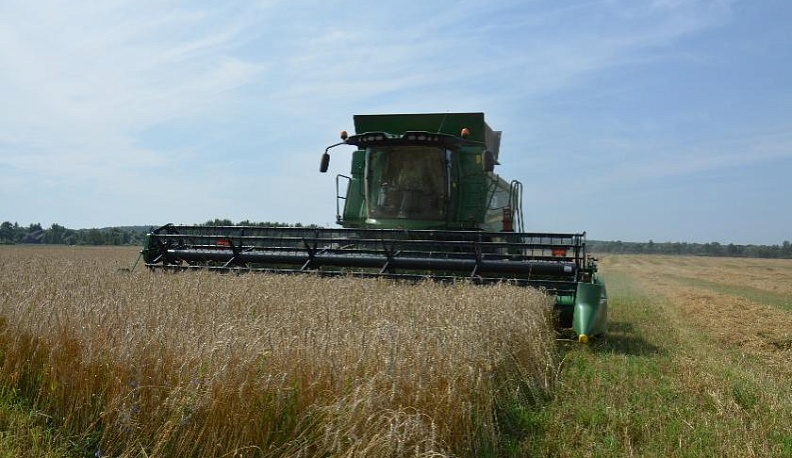 Большой комбайн – в поле хозяин!