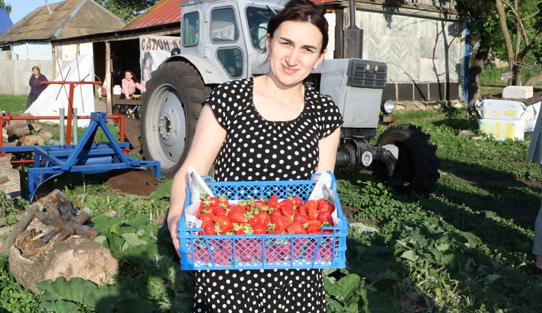 Калужские аграрии изучили опыт своих коллег в Липецкой области