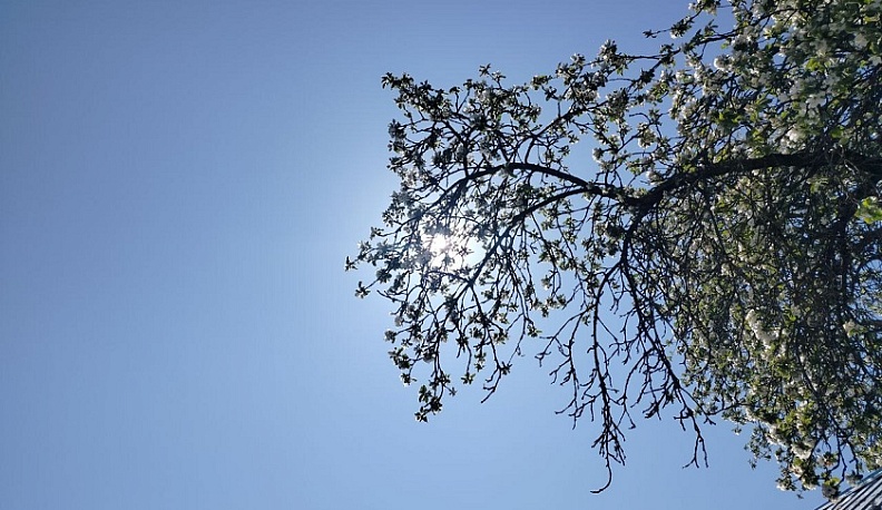 В Калугу вернулось тепло