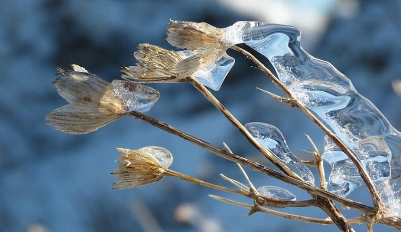 Калужская область готовится к ледяному дождю