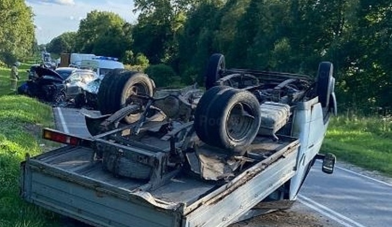 В Калужской области произошло крупное ДТП из-за выбежавшего на дорогу лося