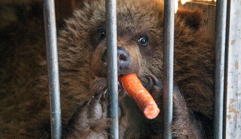 Не просто Мария