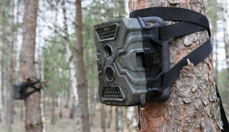 Организаторов свалок в калужских лесах поймают фотоловушки