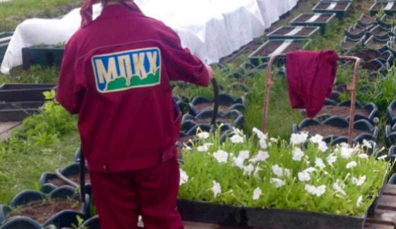 Обнинск украшают цветочными клумбами