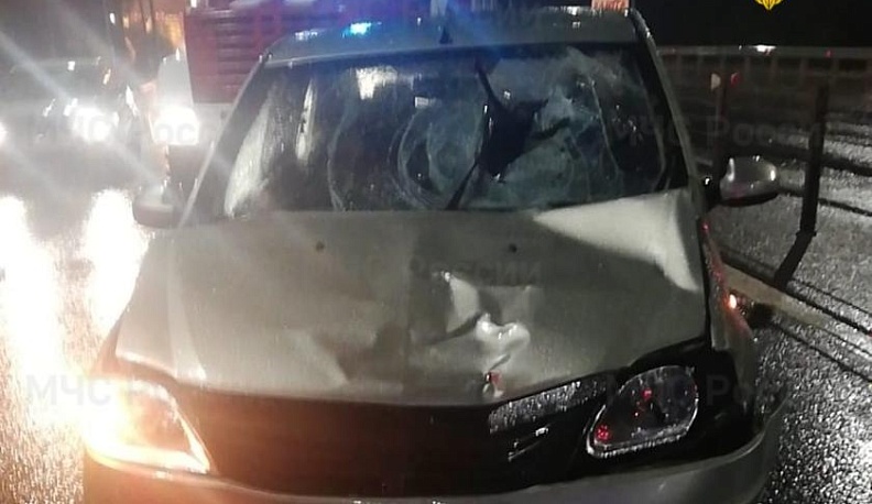 Под Калугой "Рено" насмерть сбил 30-летнего мужчину