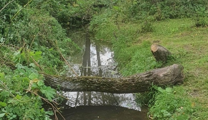 В Мещовском районе продолжают расчищать реку Каменку