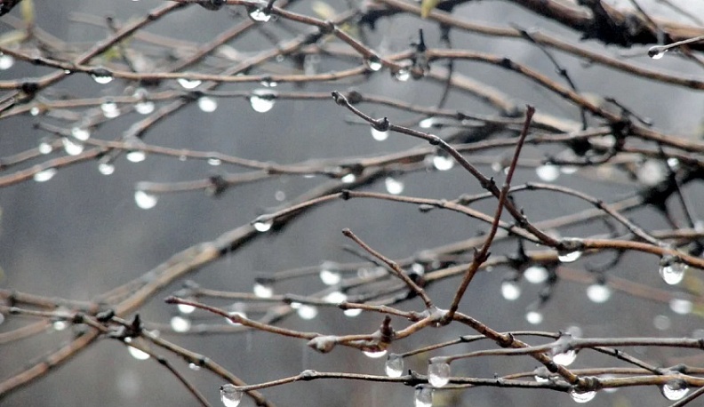 Калужан ждут дождливые дни