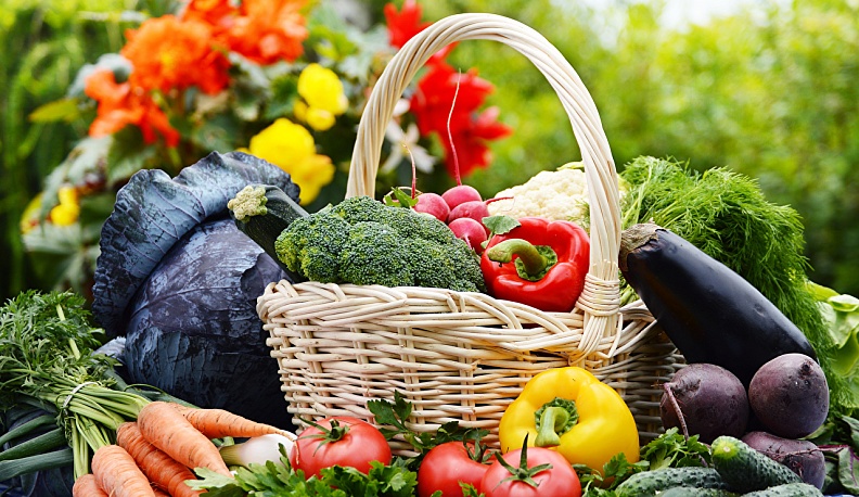 В Калуге в выходные пройдет сельскохозяйственная выставка