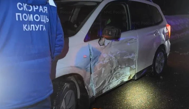 В аварии под Калугой пострадали два ребенка