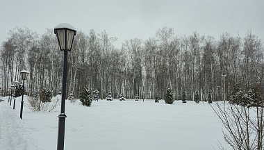 В Сухиничах хотят благоустроить рощу