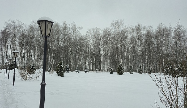 В Сухиничах хотят благоустроить рощу