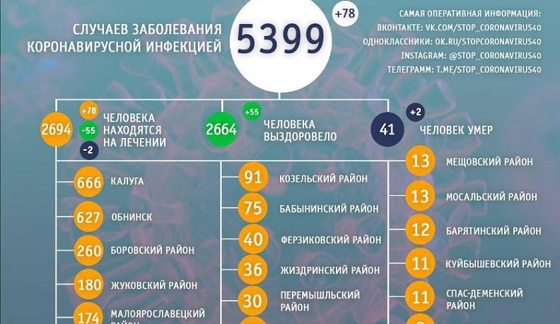 Еще два пациента с коронавирусом скончались в Калужской области 