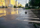 В рамках нацпроекта «Инфраструктура для жизни» на калужских дорогах установили шесть проекционных пешеходных переходов