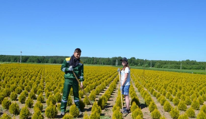 «Ждём людей, желающих работать!»