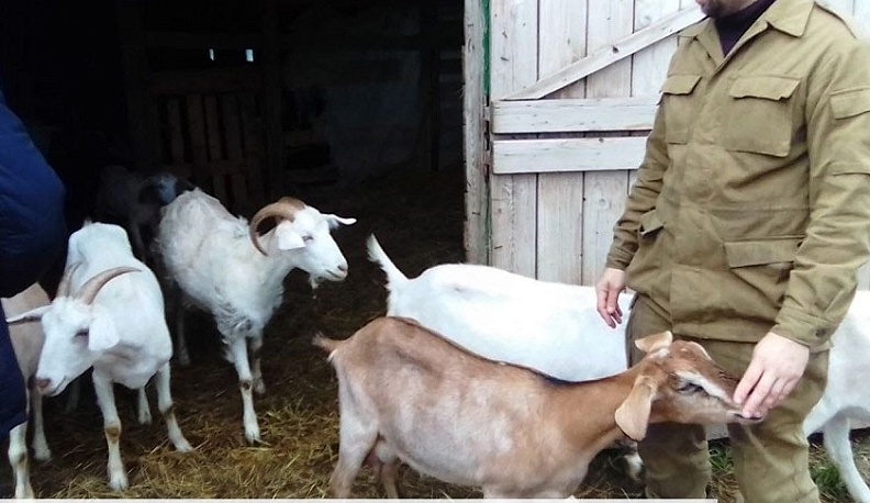 Владислав Шапша рассказал, как калужане используют выплаты по соцконтрактам