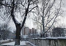 Температура воздуха в Калуге опустится ниже -20°С
