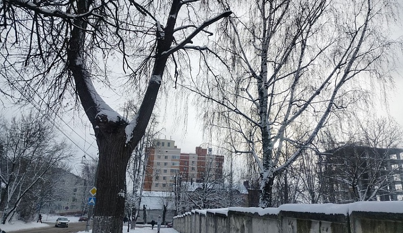 Температура воздуха в Калуге опустится ниже -20°С