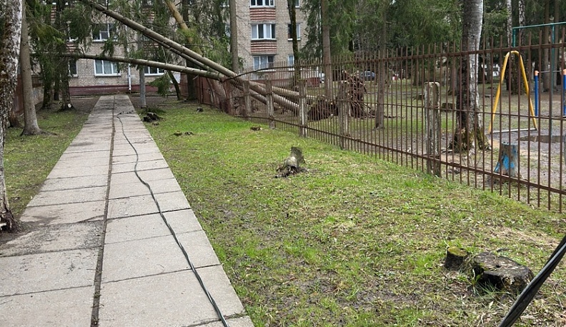 Последствия непогоды: в Обнинске повалены ветром двенадцать деревьев