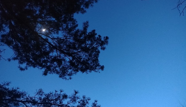 Ночью в Калужской области вновь работали ПВО