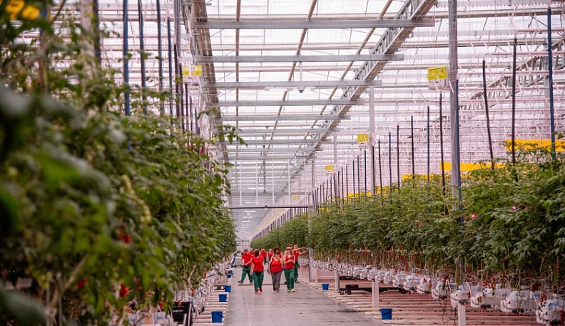 «Агро-Инвест» получил экономический эффект после внедрения бережливого производства 