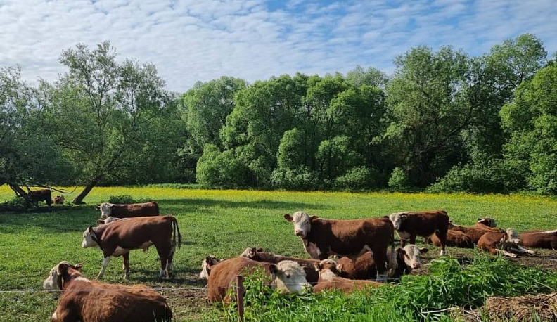 Фермеры из Калужской области победили в конкурсе Минсельхоза Российской Федерации