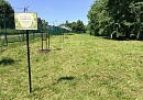 В Дзержинском округе высадили Тимирязевскую аллею
