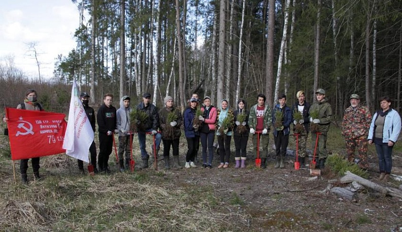 Найдётся дело для рук умелых