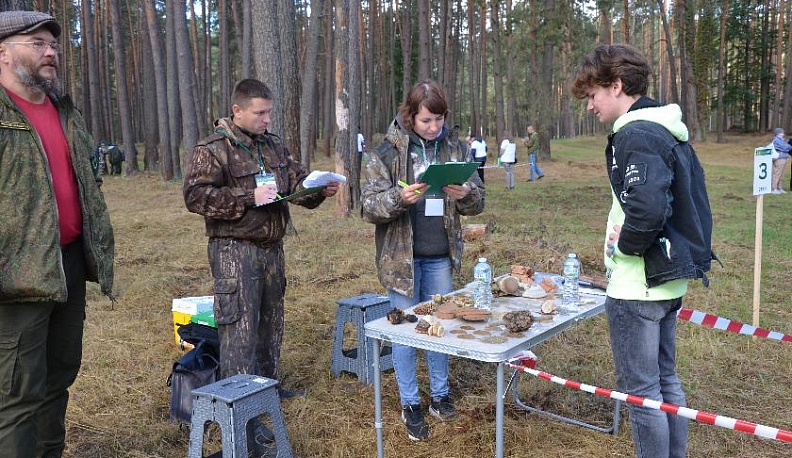 Там, где сосны с солнцем говорят
