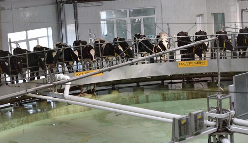 Территория перспектив