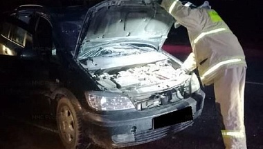 В Дзержинском округе легковой автомобиль сбил лося