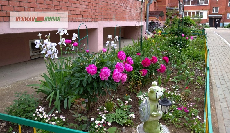 Самые дружные, откликнитесь!