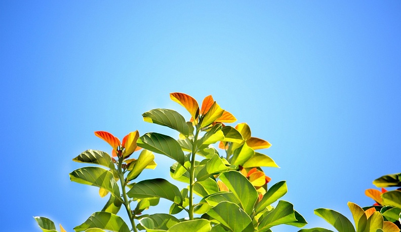 Сегодня в Калуге будет солнечно