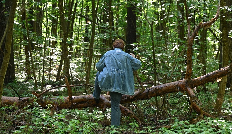 В Калужской области с начала года 26 человек заблудились в лесах