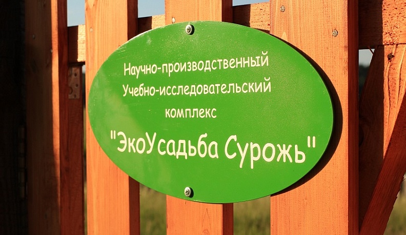 В Жуковском районе пройдет семейный фестиваль