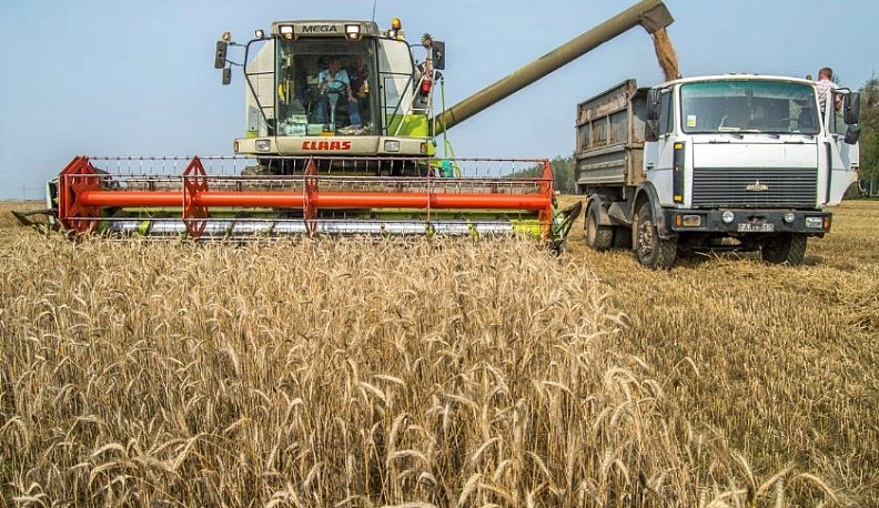 Погода сдвинула сроки страды