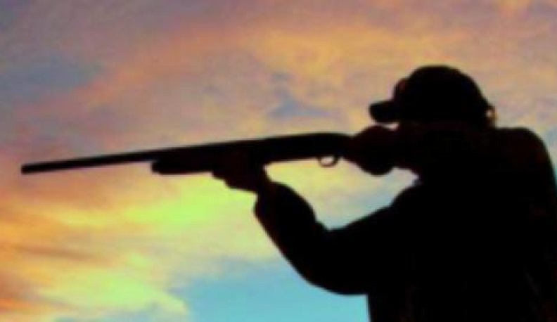 Москвич заплатил 240 тысяч за застреленного в Калужской области лося