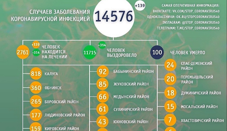 За сутки от коронавируса вылечилось 314 жителей Калужской области