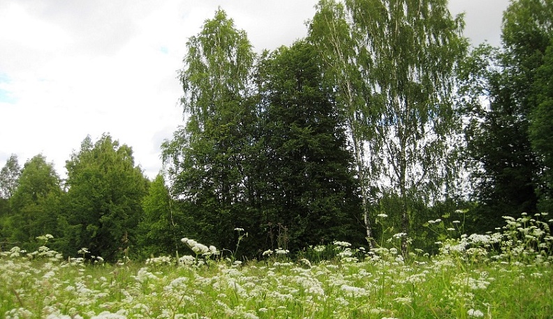 В Калужской области установили границы еще одного памятника природы