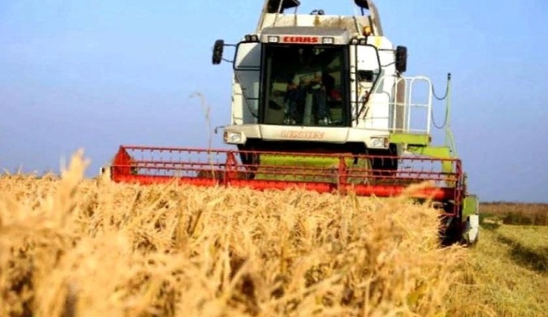 Страда без страданий