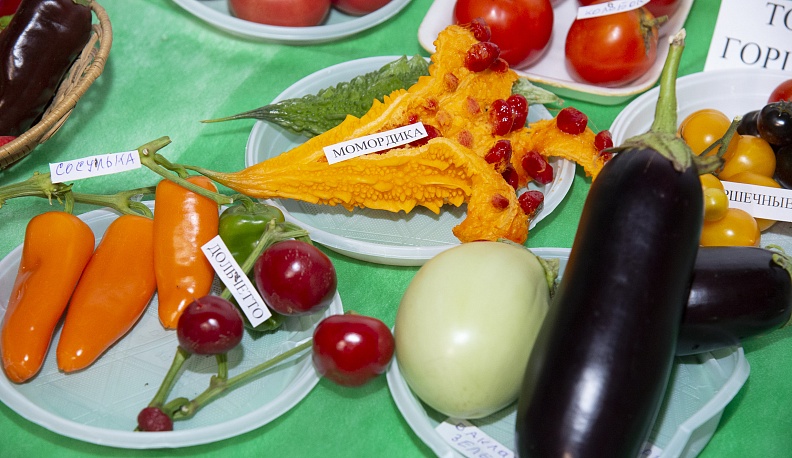 В калужском Доме народного творчества и кино «Центральный» открылась выставка даров сада и огорода