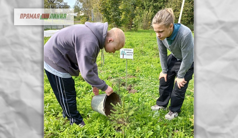 ПОДРОСТ –  защита будущего леса